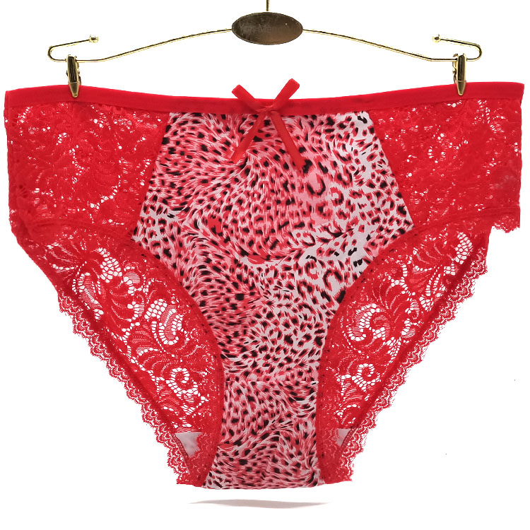 Culotte Sexy Femme Grande Taille en Spandex et Coton