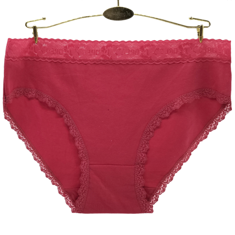 Culotte Femme Grande Taille en Coton et Spandex