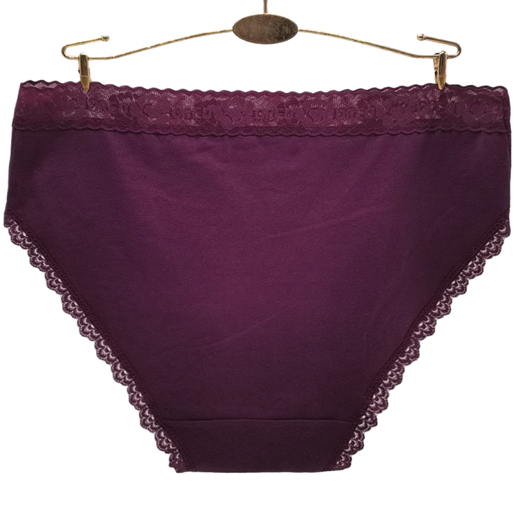 Culotte Femme Grande Taille en Coton et Spandex