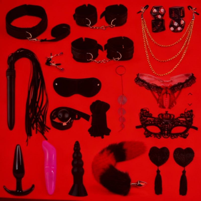 Menottes, Pinces à Mamelons, Fouet, Plug Anal & Vibrateur