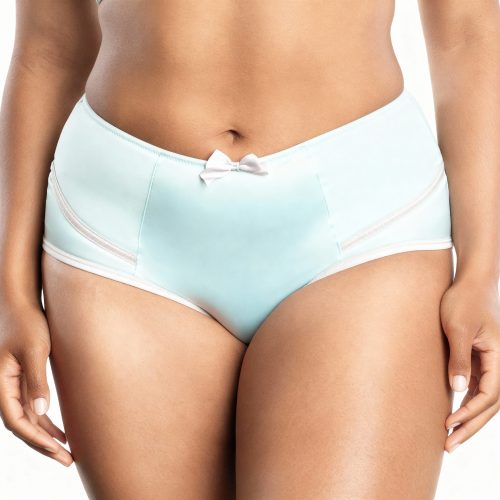 Culotte slip taille haute pour femme