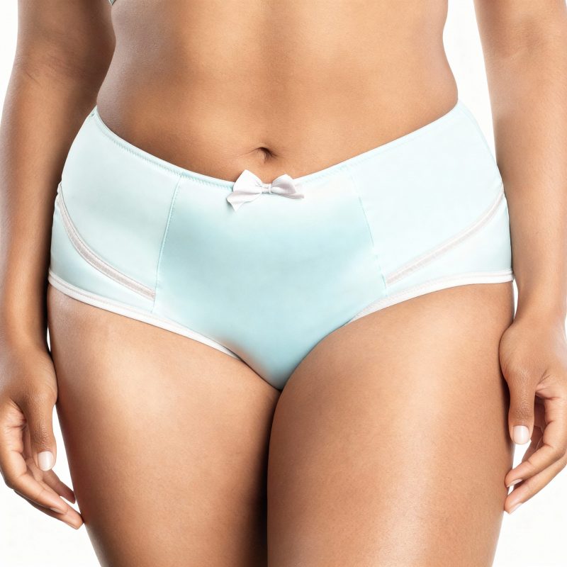 Culotte slip taille haute pour femme