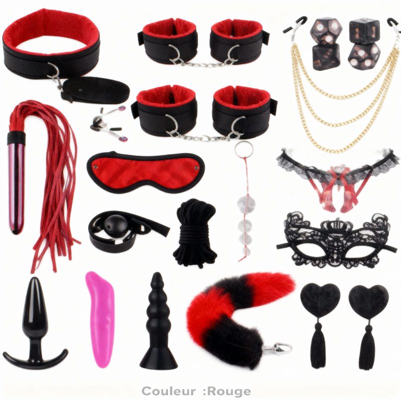 Menottes, Pinces à Mamelons, Fouet, Plug Anal & Vibrateur