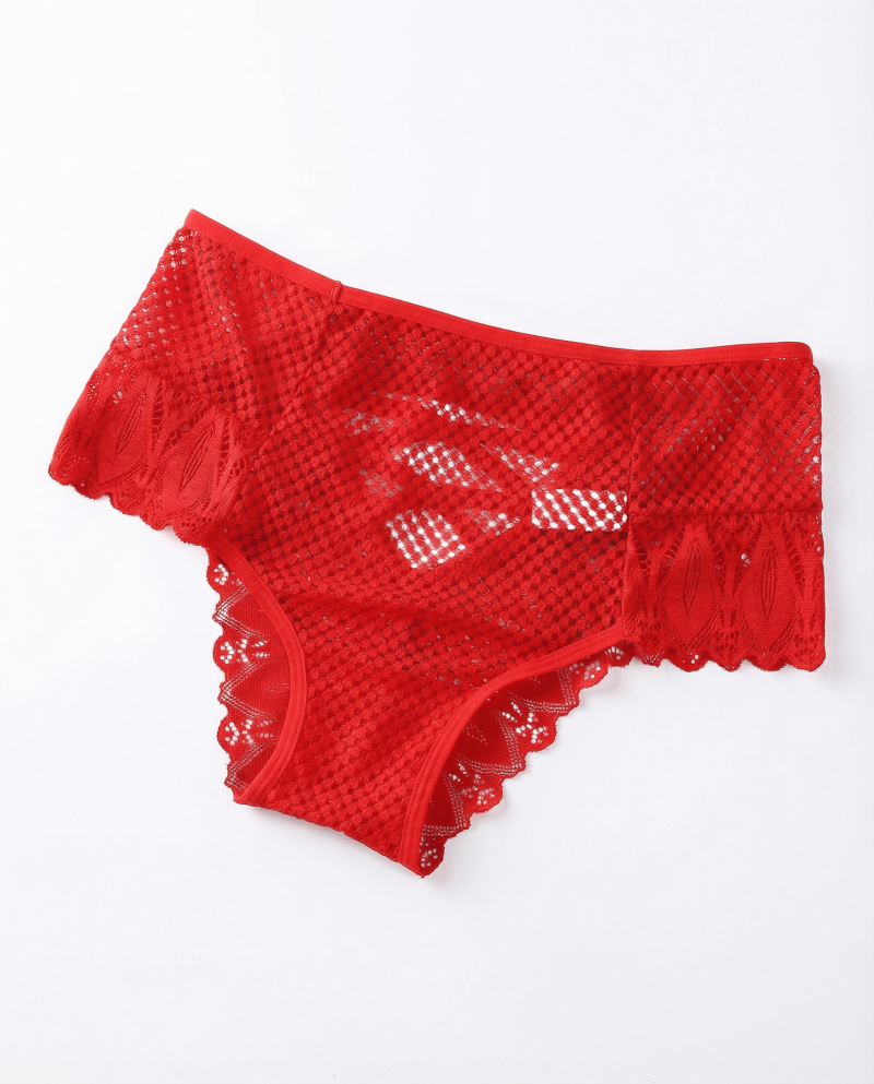 image-generations_ULQ98ShPsi0ES1lPUCGC_DrOCZPsxSpU81TDW04SbWVgVCxl1_e8826228-77bb-4a67-a22d-eff9cfda9527_original Culotte Taille Haute en Crochet Dentelle