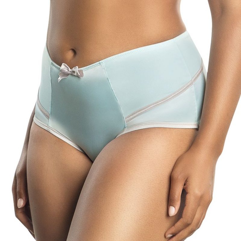 Culotte slip taille haute pour femme