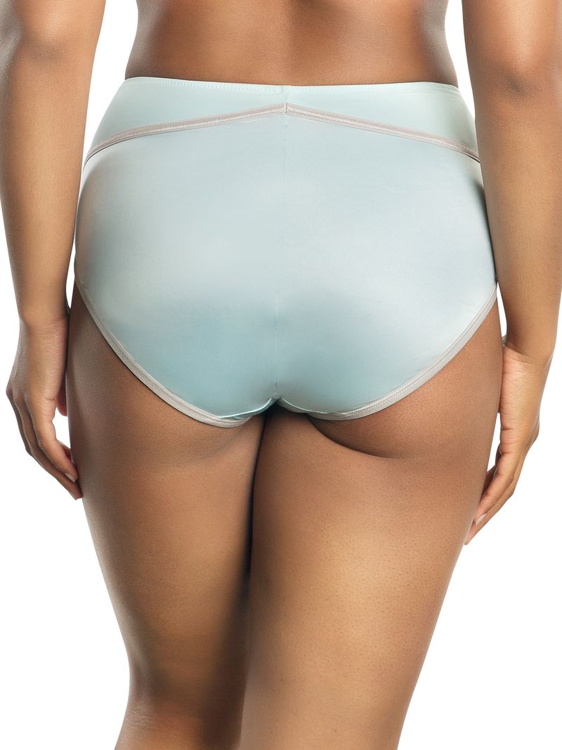 Culotte slip taille haute pour femme