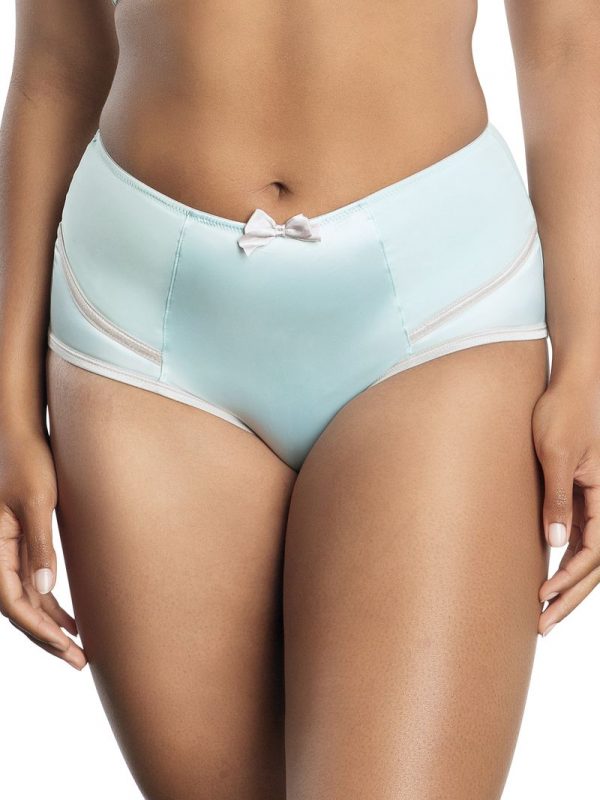 Culotte slip taille haute pour femme