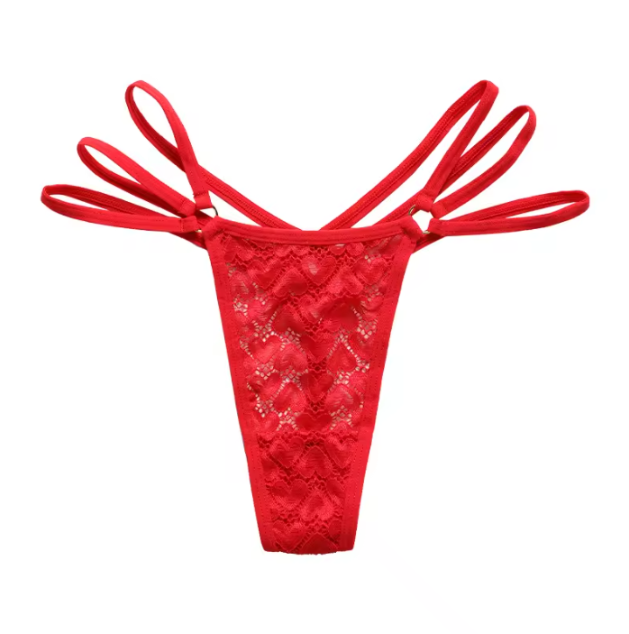 Culotte sexy brodée à fleurs – Lingerie en dentelle taille basse pour femme